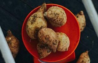 Erzincan’da yeni ürün için demonstrasyon alanı...