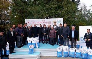 Erzurum’da DAP desteğiyle 935 ton buğday tohumu...