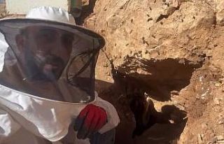 Eşek sırtında dağ bayır dolaşarak kaya balı...