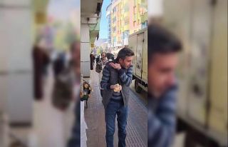 Evcil karga ’ekmeğinin’ peşinde: Karnını doyurduktan...