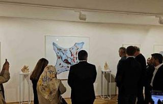 ‘Farklı Olsan Ne Olur’ sergisi Kadırga Sanat...