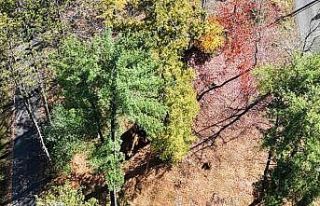 FETÖ elebaşının çiftliğinin yakınlarındaki...