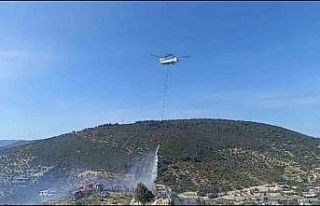 Foça’da bir depoda başlayan ve ormanlık alana...