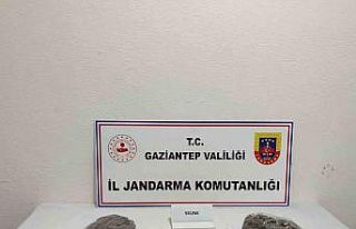 Gaziantep’te 5 kilo skunk ele geçirildi: 1 şahıs...
