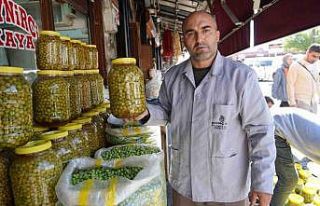 Gaziantep’te yeşil zeytinler tezgaha indi