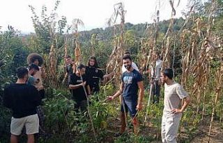 Gençler toprakla uğraşıp stres atıyor