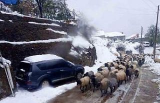 Giresun’da kar yağışı nedeniyle mahsur kalan...