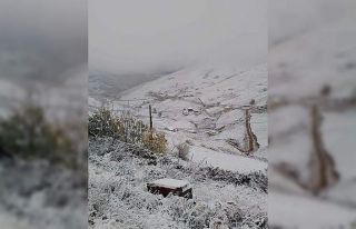 Giresun’un yüksek kesimlerinde kar yağışı etkisini...