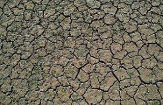 Göl kurudu çöle döndü