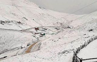 Gümüşhane’de yaylalar beyaz örtüyle kaplandı