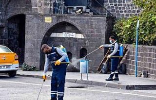 Haşerelere karşı ilaçlama çalışmaları sürüyor