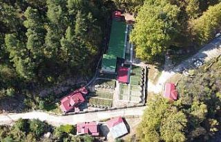 Her yıl 1 milyon 100 bin kırmızı benekli yavru...