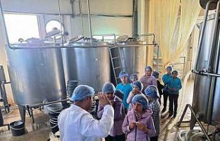 Hisarcık Atatürk İlkokulu öğrencileri süt ürünleri...