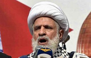 Hizbullah Genel Sekreter Yardımcısı Kasım: "Çözüm...