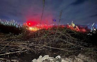 İki ayrı noktada çıkan sazlık yangınları korkuttu