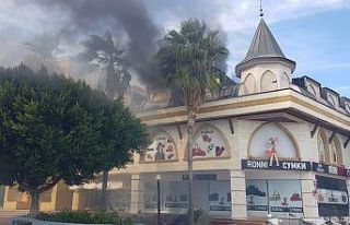 İş yerinden palmiyeye sıçrayan yangın korkuttu