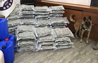 İstanbul’da uyuşturucu operasyonları: 8 gözaltı