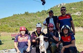 İzmir İtfaiyesi’nden yürekleri ısıtan kurtarma...