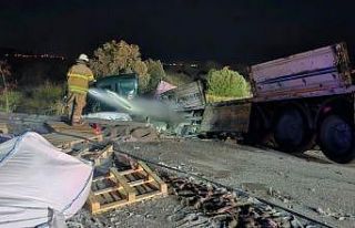 İzmir’de feci kaza: Önce ata sonra tıra çarptı,...