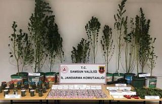 Jandarmadan uyuşturucu operasyonu: 1 gözaltı