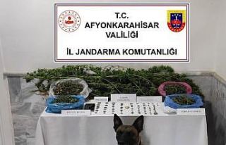 Jandarmadan uyuşturucu ve tarihi eser operasyonu