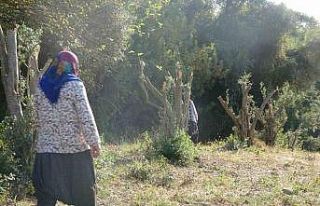 Kadınlara karşı soyunup tartışan kişi zeytin...