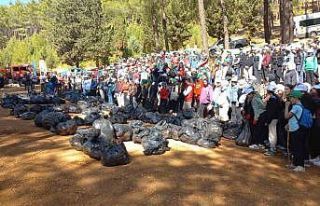 Kahramanmaraş’ta ormanlar temizleniyor