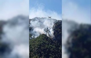 Kahramanmaraş’ta sarp arazideki yangın 3 gündür...