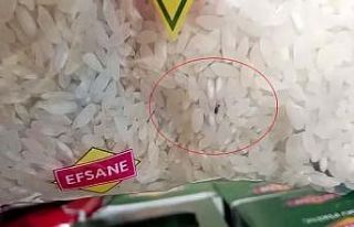 Kapaklı’daki BİM markette böcek skandalı: Kapalı...