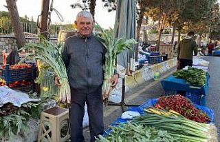Karaciğer dostu enginarlar Aydın’daki pazar tezgahlarında...