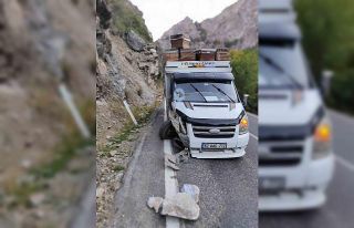 Kayanın isabet ettiği araç kaza yaptı: 10 arılı...