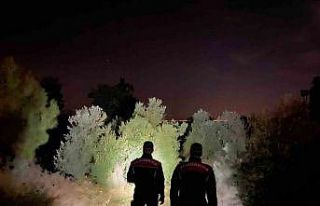 Kayıp Ahmet Dikal için jandarma ve AFAD çalışma...