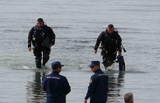 Kayıp Rojin 14 gündür aranıyor