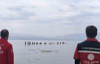 Kayıp Rojin Kabaiş 16 gündür aranıyor