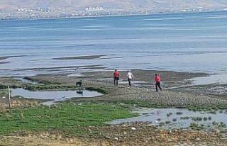 Kayıp üniversite öğrencisini arama çalışmalarına...
