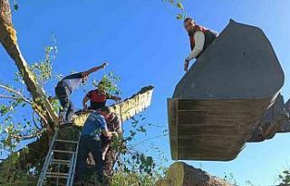 Kestiği ağacın altında kalarak hayatını kaybetti