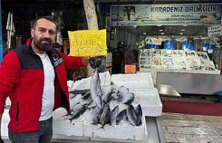 Kilis’te havaların serinlemesiyle balık satışları...