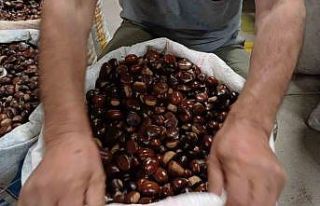 Kilosu 200 lira, kapış kapış satılıyor