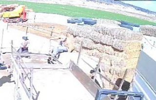 Kızgın boğa ortalığı bir birine kattı