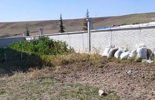 Konya’da yaşlı çift yedikleri mantardan zehirlendi