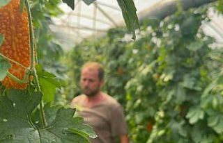 Kudret narı şifa dağıtıyor