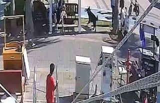 Kurt köpeğinin polislere saldırı anının görüntüleri...