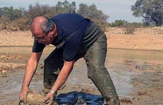 Kuruyan gölette balık kurtarma operasyonu