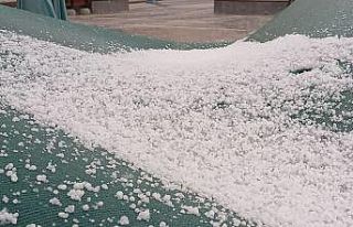 Malazgirt’te yağmur ve dolu etkili oldu