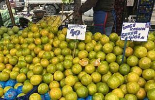 Mandalinalar pazar tezgahlarındaki yerini aldı
