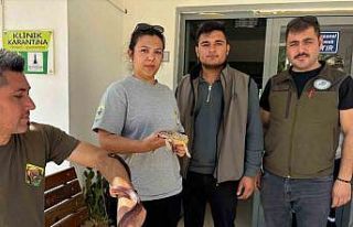 Manisa’da Mısır yılanı ve sakallı ejder satışı...