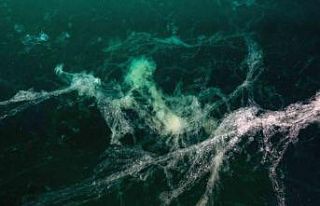 Marmara Denizi’nde müsilaj yeniden görüldü