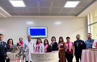 Meme kanserine pembe kurdelelerle dikkat çektiler