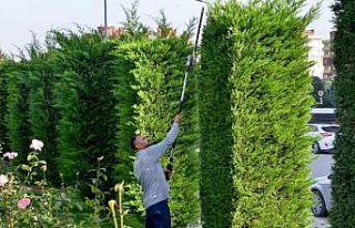 Meram’ın park ve bahçelerine kış bakımı