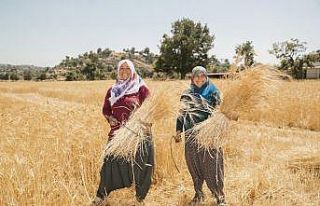 Mersin Büyükşehir Belediyesi, binlerce kadını...